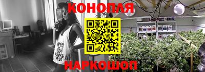 индика Аргун